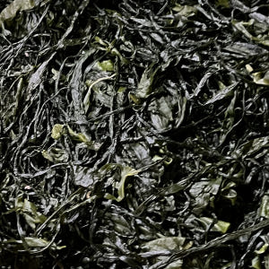전라도 완도 청정지역 염장미역 부드러운 간단한반찬 햇 고급 산모 1kg ... 맛있게 먹은 솔직 후기 - 상품 이미지 2