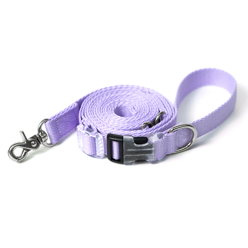 강아지 리드줄 베이직 15mm 2M