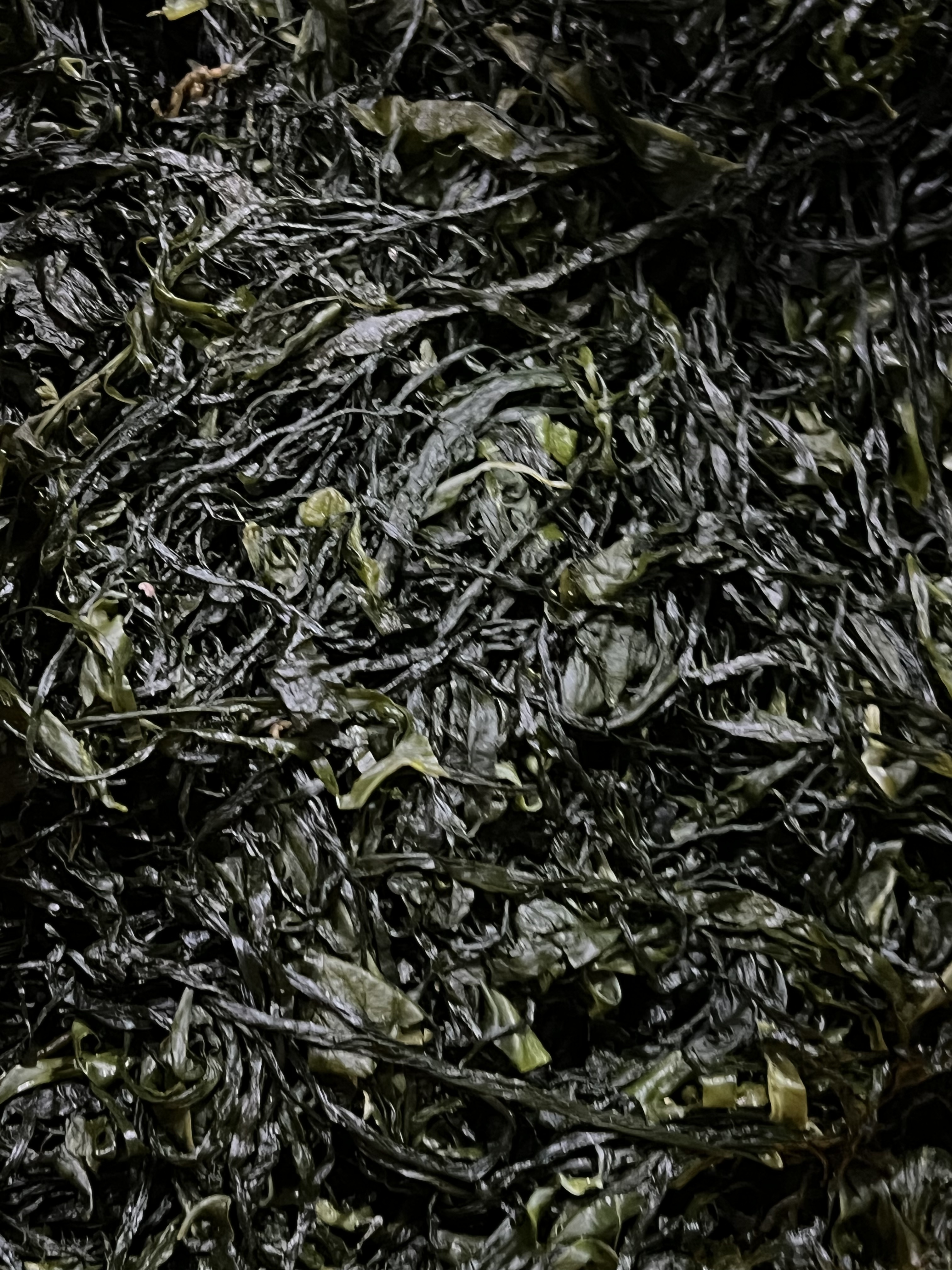 전라도 완도 청정지역 염장미역 부드러운 간단한반찬 햇 고급 산모 1kg 5kg 10kg 이미지 3