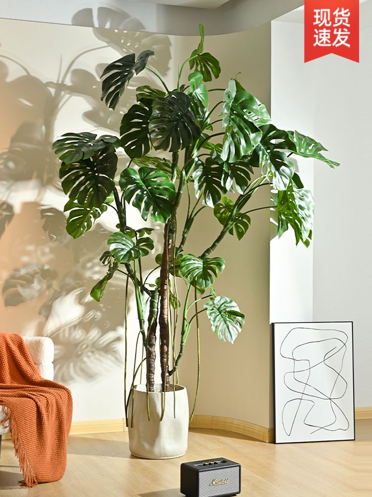 식물 몬스테라 몬테스라 90cm 조화 카페 대형 화분 인테리어 - 상세 이미지 4