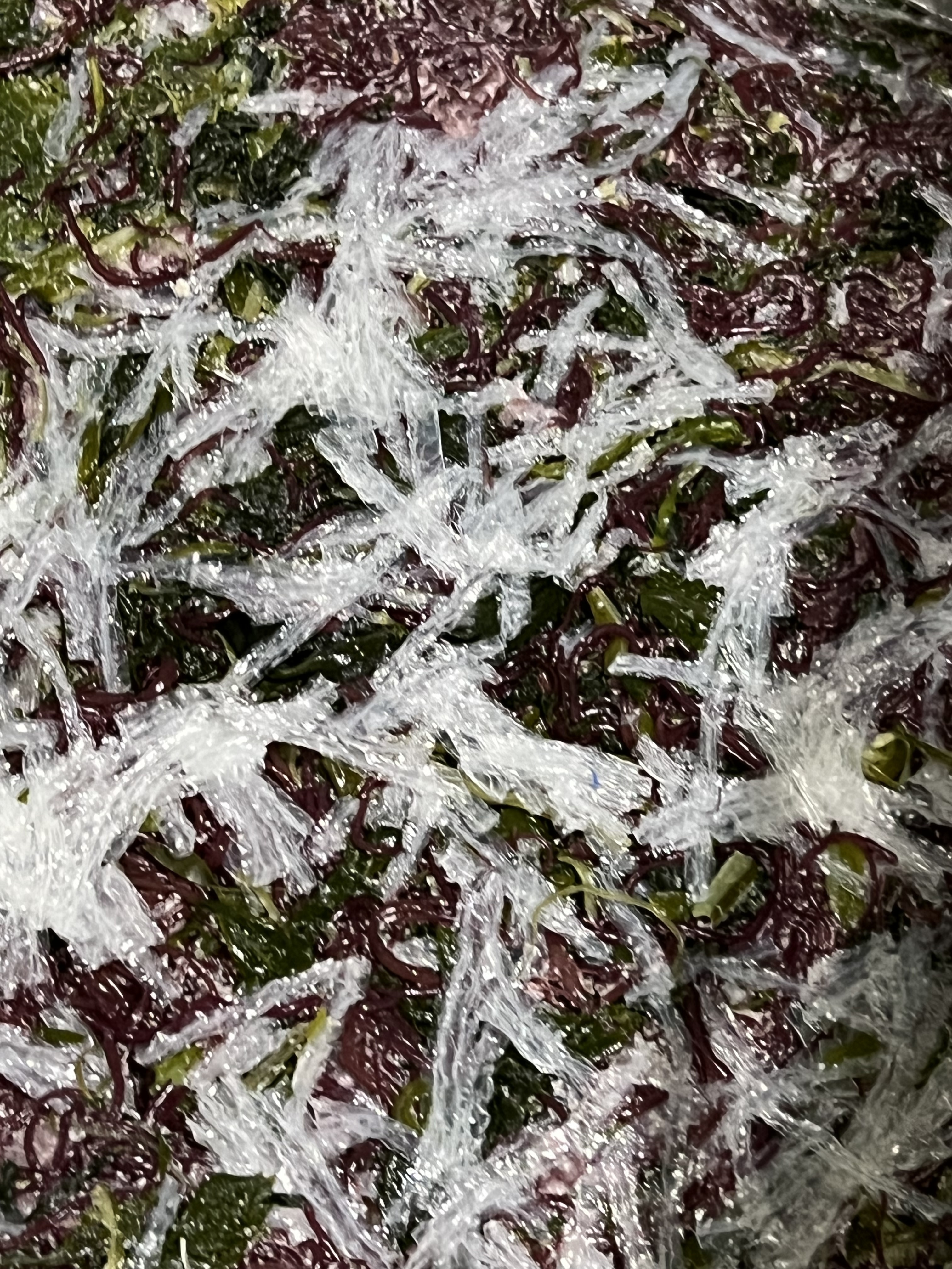 전라도 완도 청정지역 모듬해초 부드러운 간단한반찬 햇 고급 산모 1kg 5kg 10kg - 상세 이미지 2