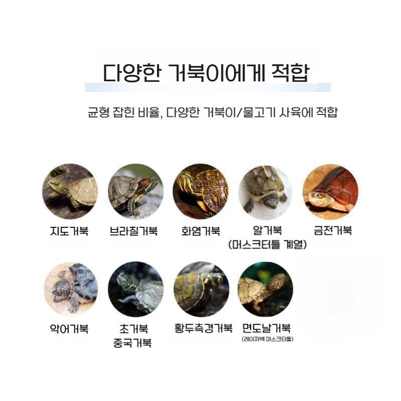 브라질거북 수조 반수생 거북이 하우스 소형 거북이집 아크릴 거북 테라리움 단품 - 상세 이미지 5