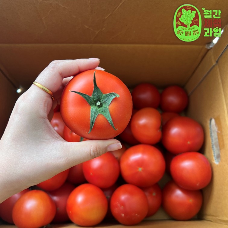 완숙토마토 대과 특품 스테비아 토마토 방울 주스용 못난이 토마토 5키로 - 상세 이미지 5