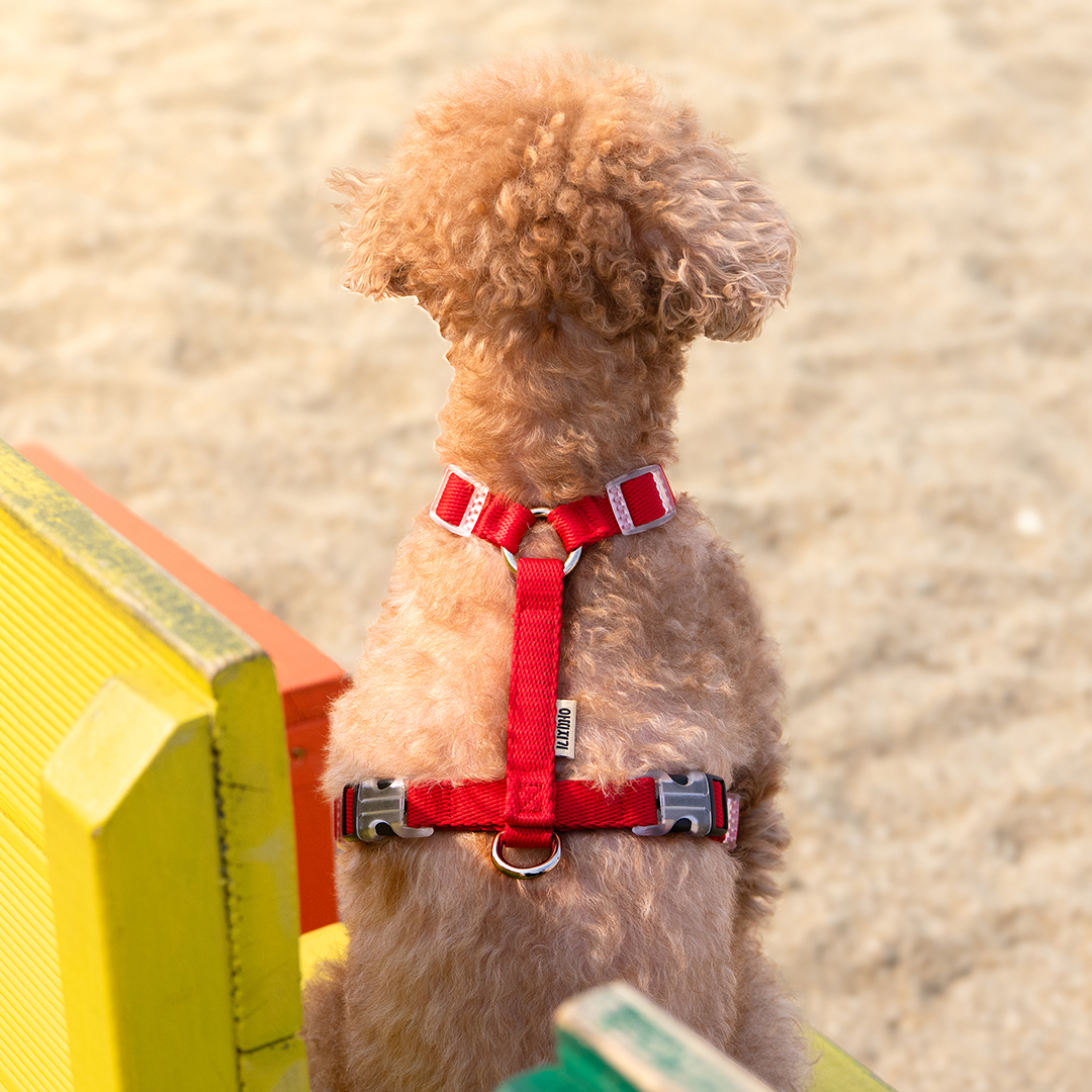 강아지 하네스 소형견 가슴줄 앞섬방지 H형 중형견 대형견 XS