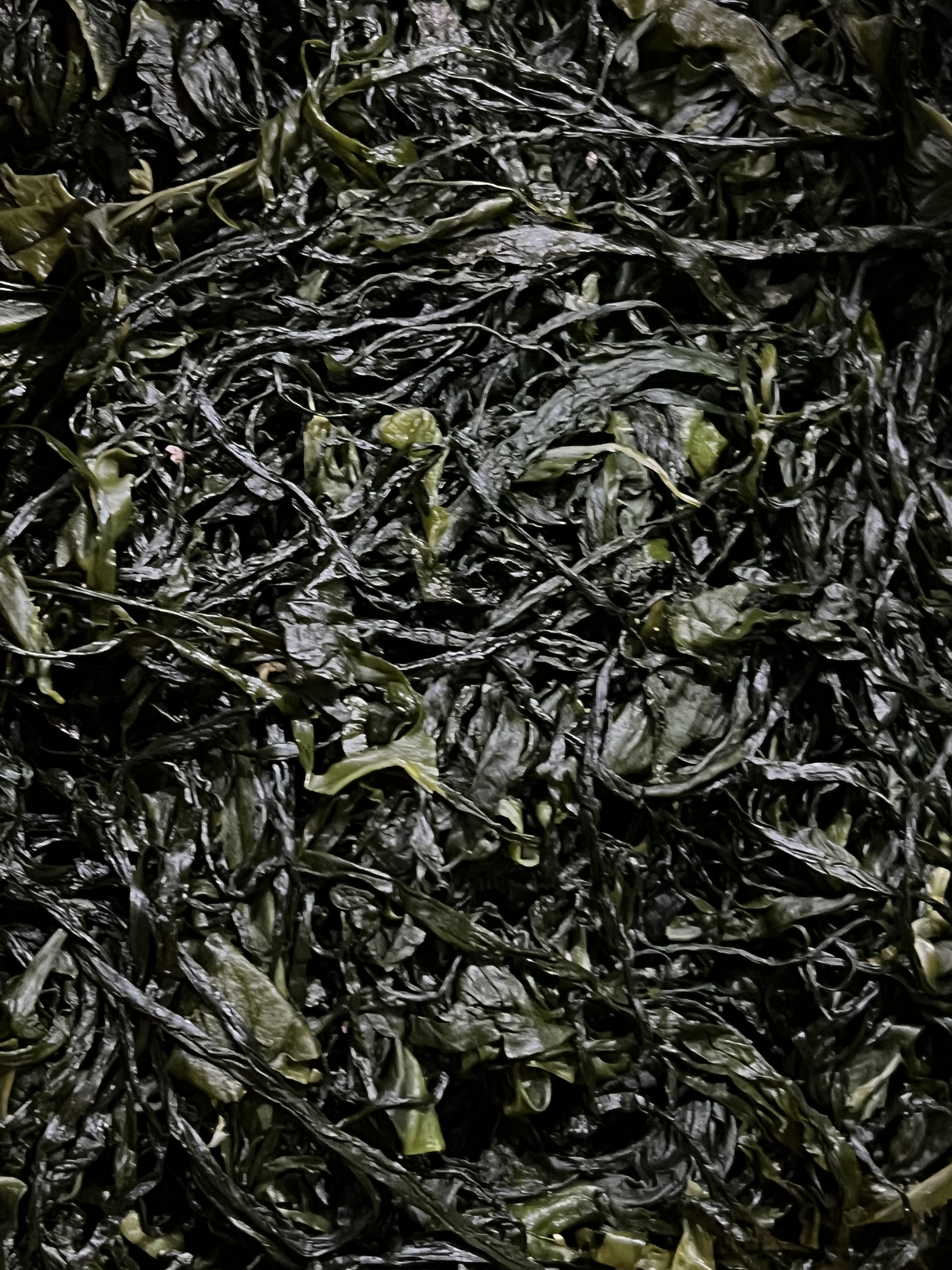 전라도 완도 청정지역 염장미역 부드러운 간단한반찬 햇 고급 산모 1kg 5kg 10kg 이미지 4