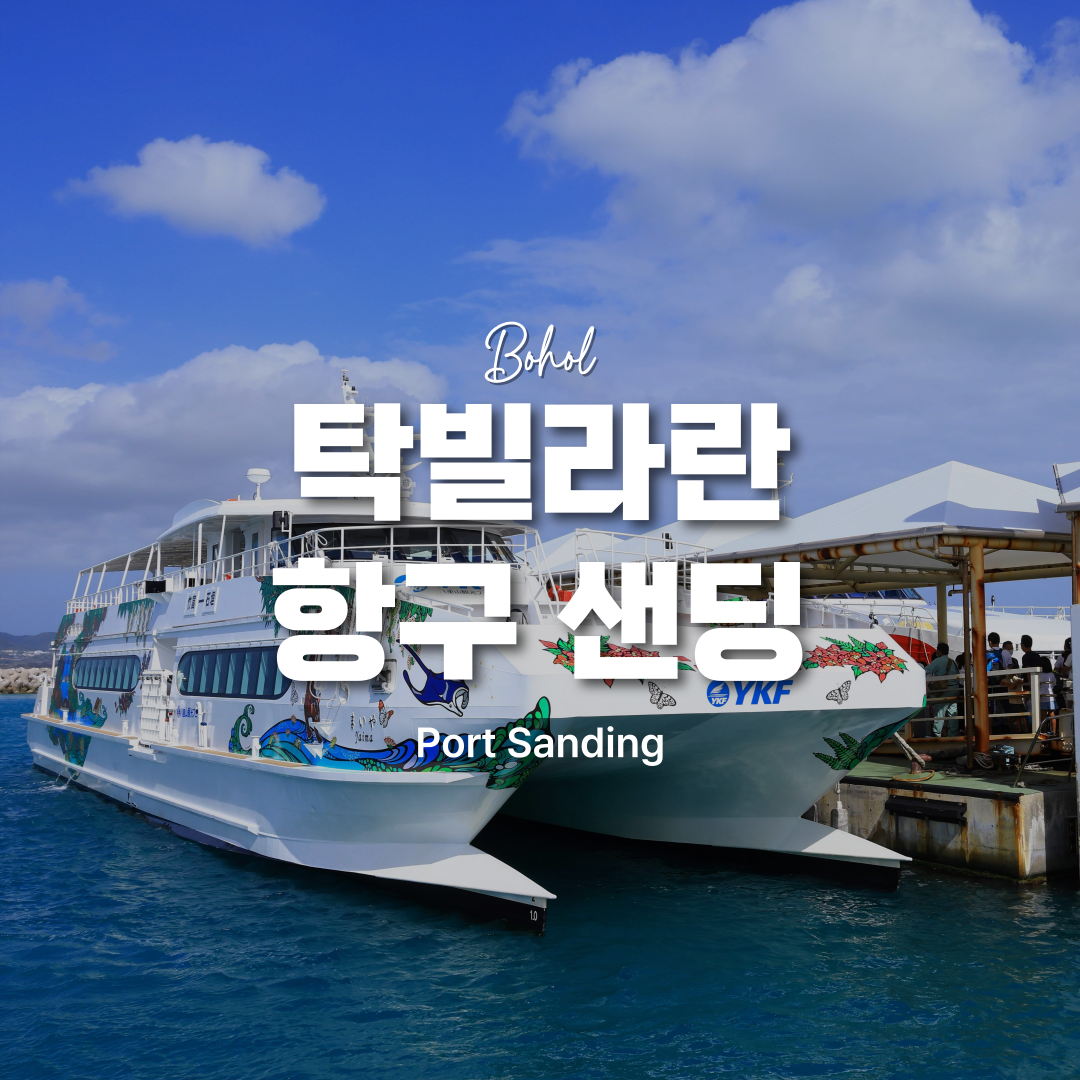 보홀 탁빌라란 항구 드랍 샌딩 단독차량 솔직 후기 | 실사용자 리뷰 분석 - 대표 이미지