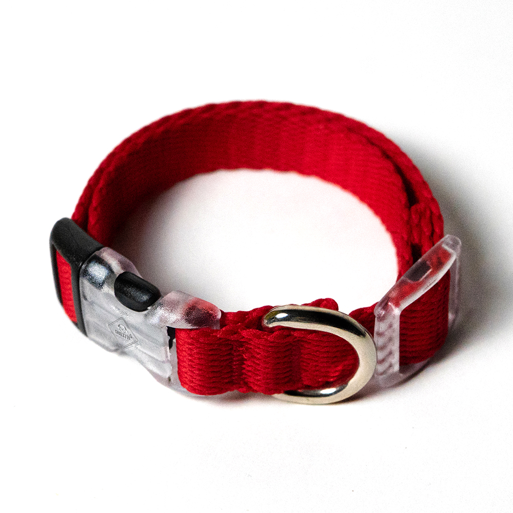 강아지 목줄 소형견 중형견 아띠지기 베이직 S