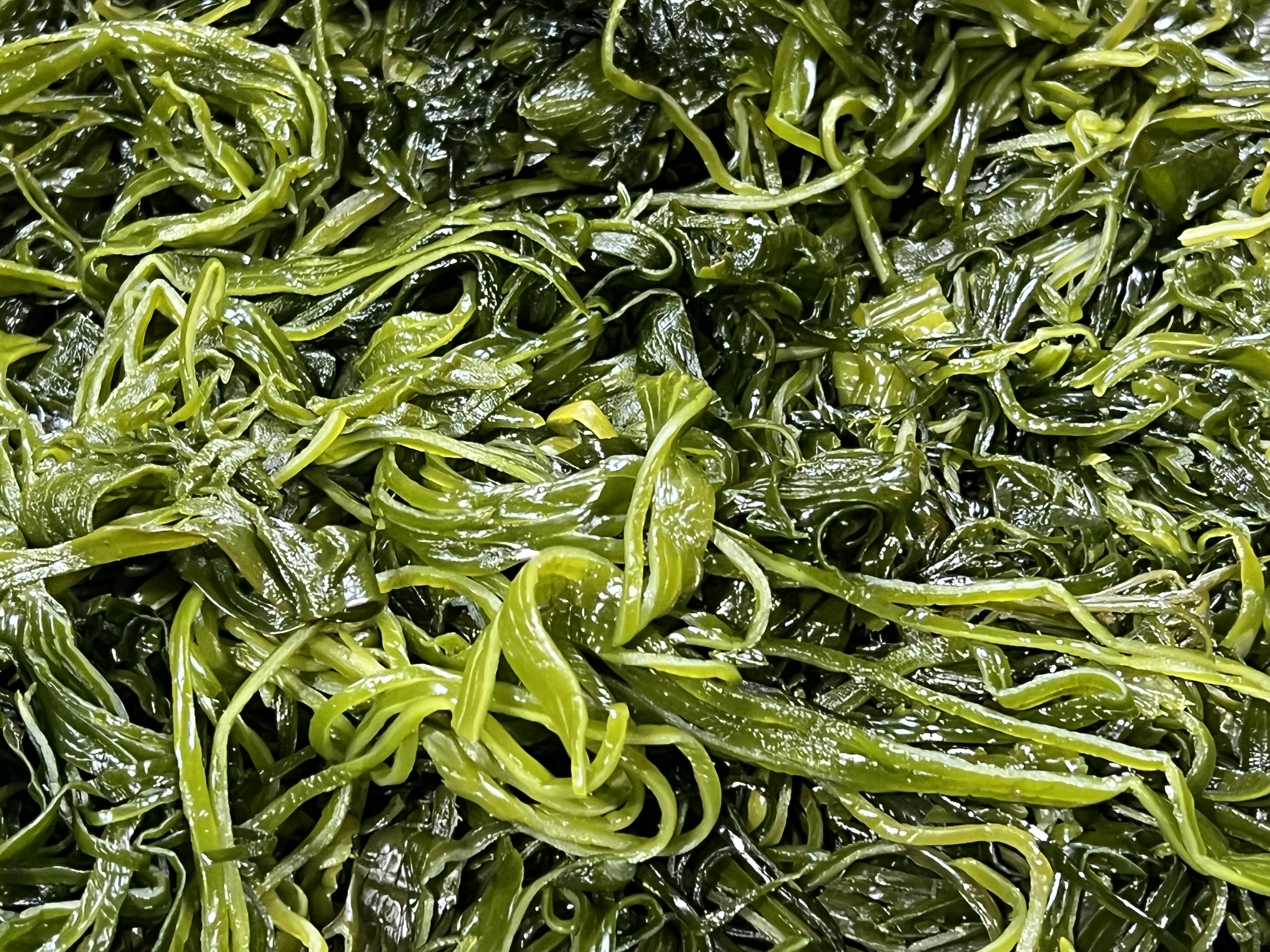 전라도 완도 청정지역 채다시마 부드러운 간단한반찬 햇 고급 산모 1kg 5kg 10kg - 상세 이미지 3