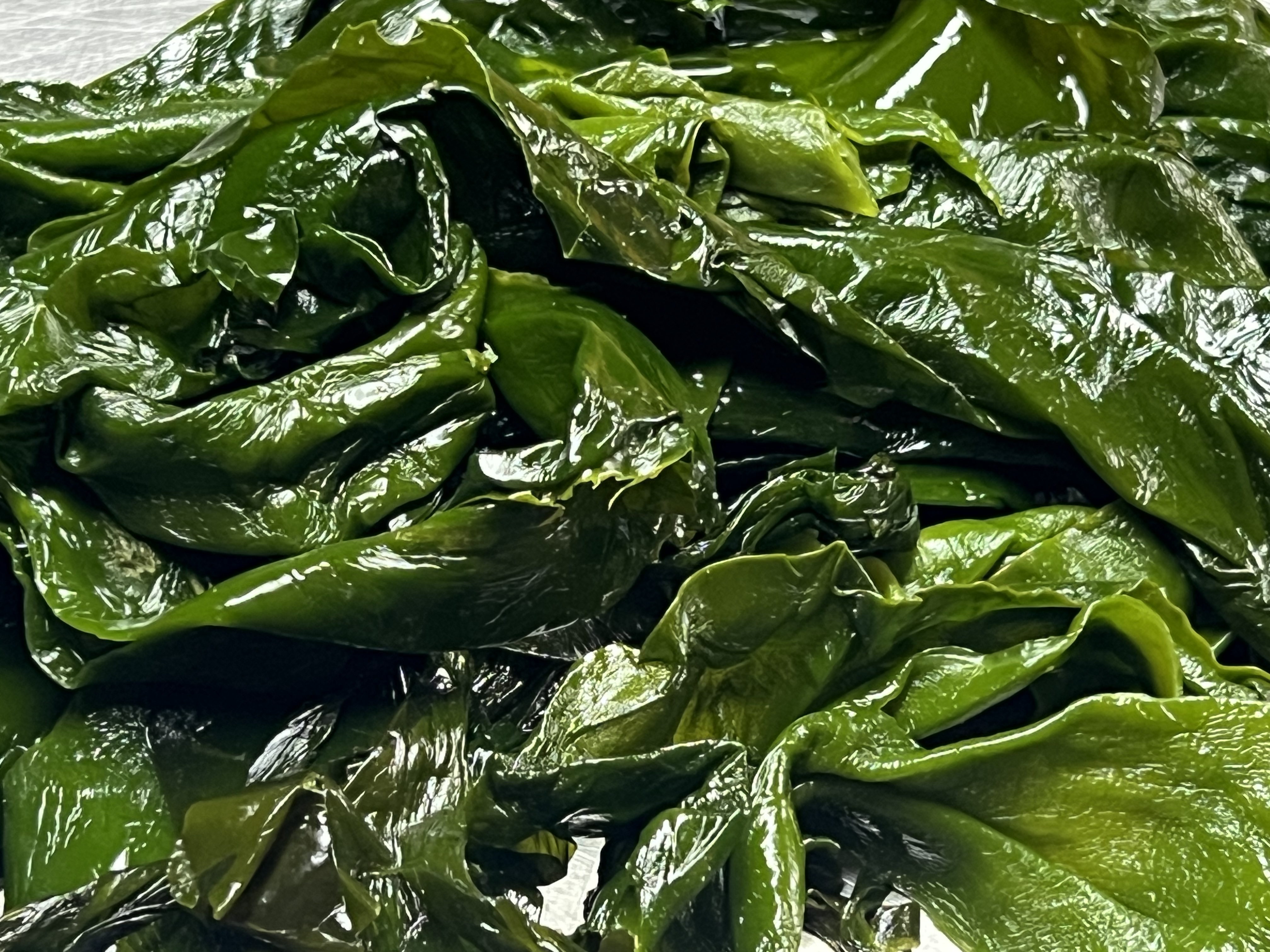 전라도 완도 청정지역 쌈다시마 부드러운 간단한반찬 햇 고급 산모 1kg 5kg 10kg - 상세 이미지 3