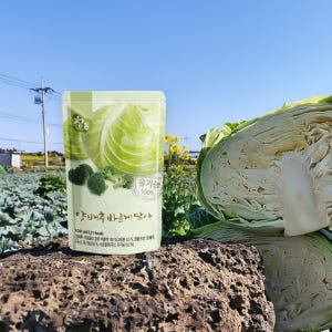 참든 유기농 양배추즙 바르게담아 100ml 30포, 1개 맛있게 먹은 솔직 후기 - 상품 이미지 1