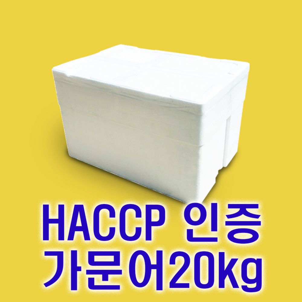 동해 오징어 오징어 슬라이스 가문어 타코야끼 레시피 해산물 리뷰