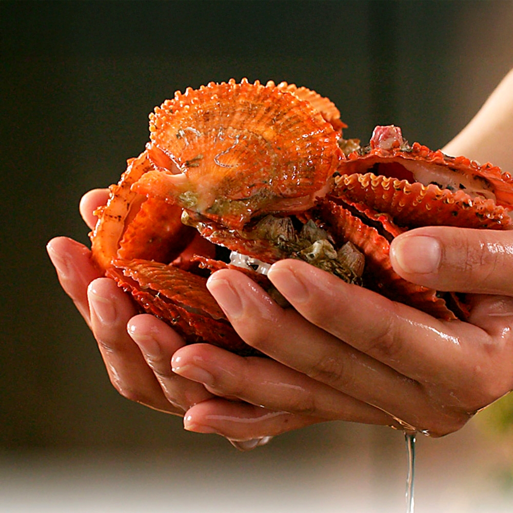 한농식 순살 비단가리비 100g 10팩 손질 세척 제철 가리비