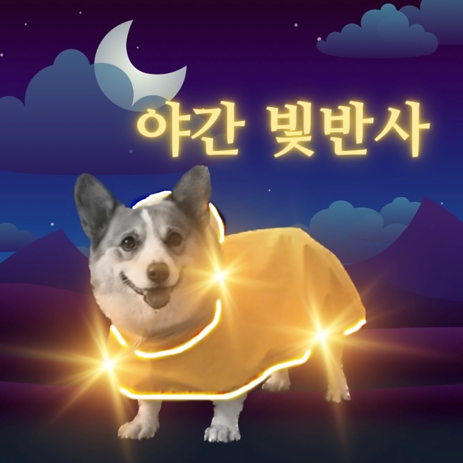 스친용 강아지 우비 신형