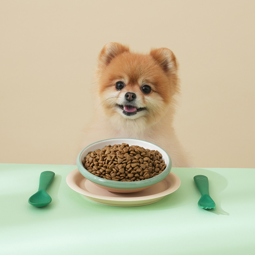 마이펫닥터 강아지사료 시그니처 2.0 저알러지 처방식 체중관리, 2kg, 1개 사진 2