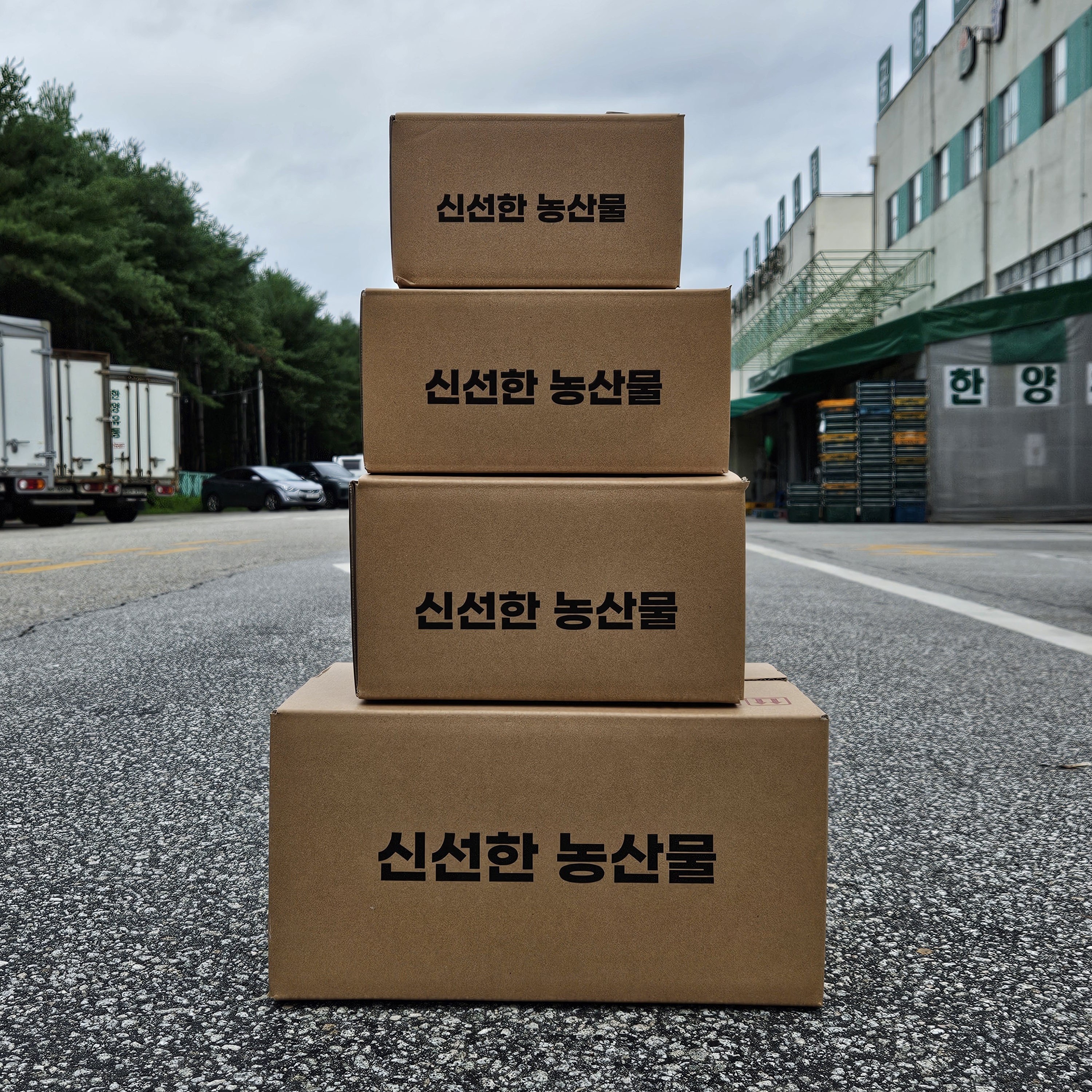 감자한박스 햇감자 20 26년 5kg 5키로 - 상세 이미지 5