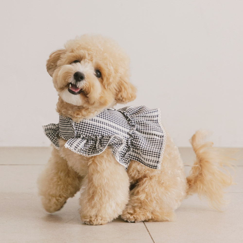 강아지 하네스옷 가슴줄 소형견 하네스 하이디