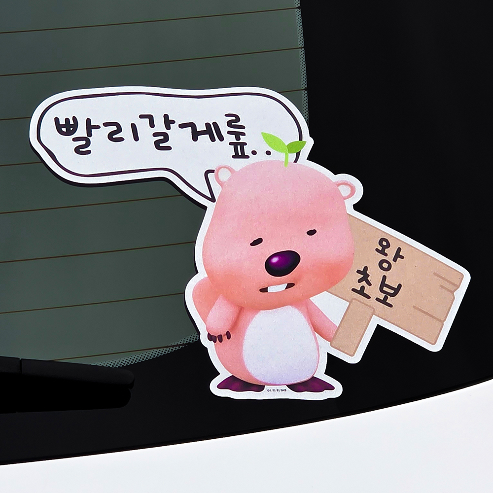 벨르아망 잔망루피 초보운전 스티커 차량용 자동차 초보 연습 운전자 새차 선물 블루 - 상세 이미지 2