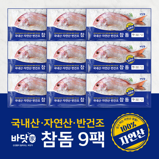 [바닷가]국내산 자연산 반건조 참돔 300g X 9팩