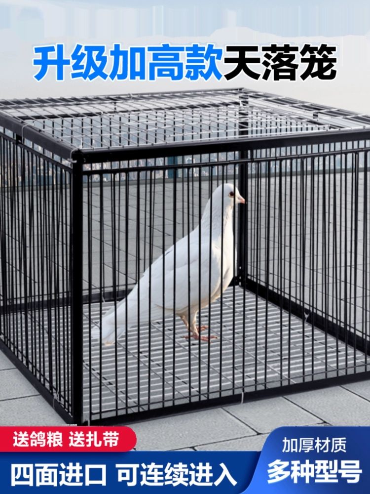 비둘기 포획틀 케이지 새퇴치 철망 새집 새장 사각형 60x40x26 화이트 두 칸 유 천창 - 상세 이미지 2