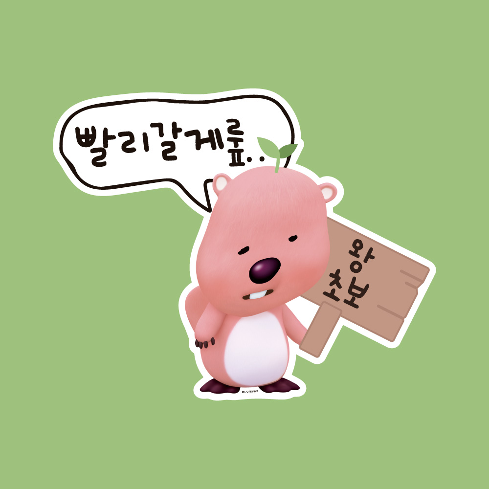 벨르아망 잔망루피 초보운전 스티커 차량용 자동차 초보 연습 운전자 새차 선물 블루 - 상세 이미지 4