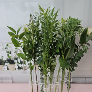 유스풀몰 여름한다발 초록한다발 꽃배달 꽃 생화 택배 솔직 후기 | 실사용자 리뷰 분석 - 상품 이미지 2