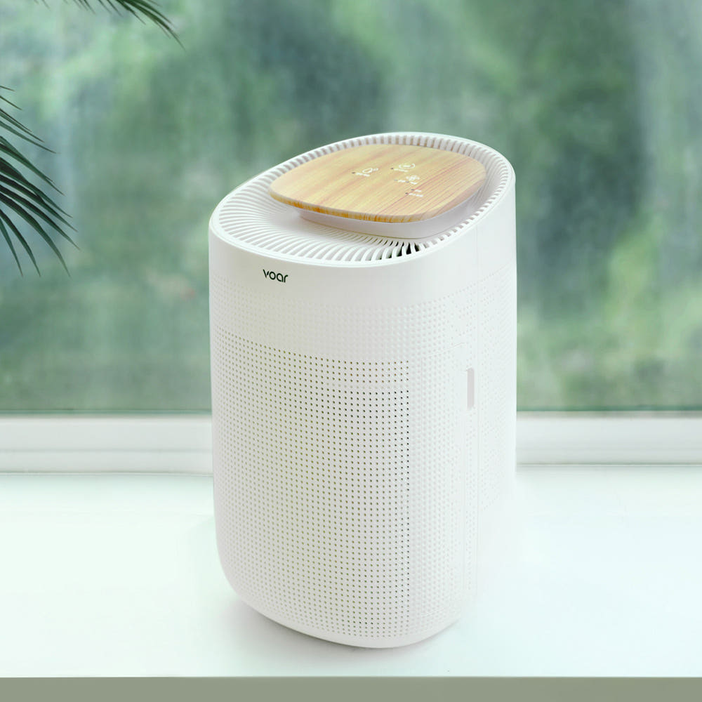 보아르 모아M1000 미니 제습기 사진