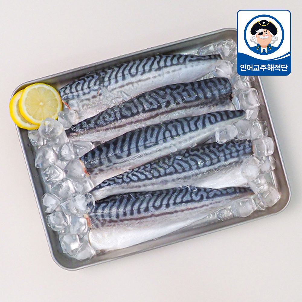 [오늘반찬] 블루머쉬 가시바른 고등어 750g 중 대 특대 가시제거 99.9% 냉동 순살 고등어