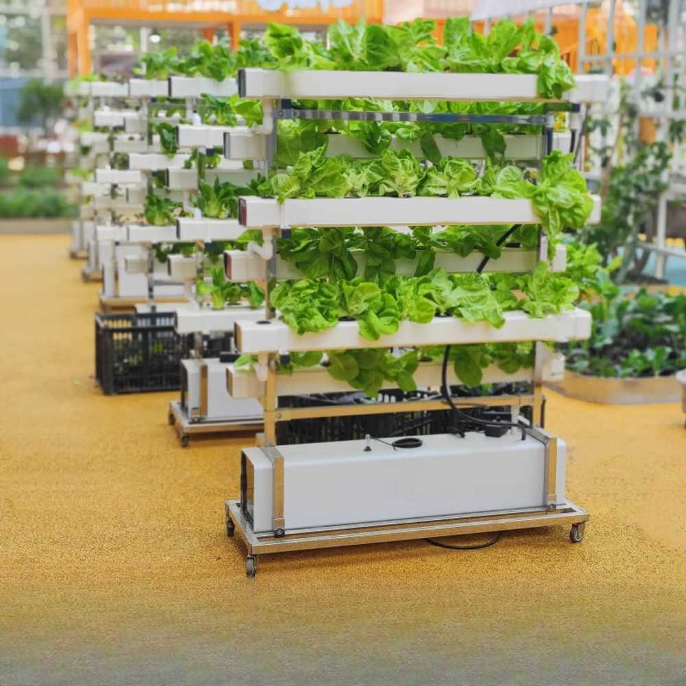 스마트팜 식물 재배기 수경 자동 급수 LED 조명기 3단 재배기 - 상세 이미지 2