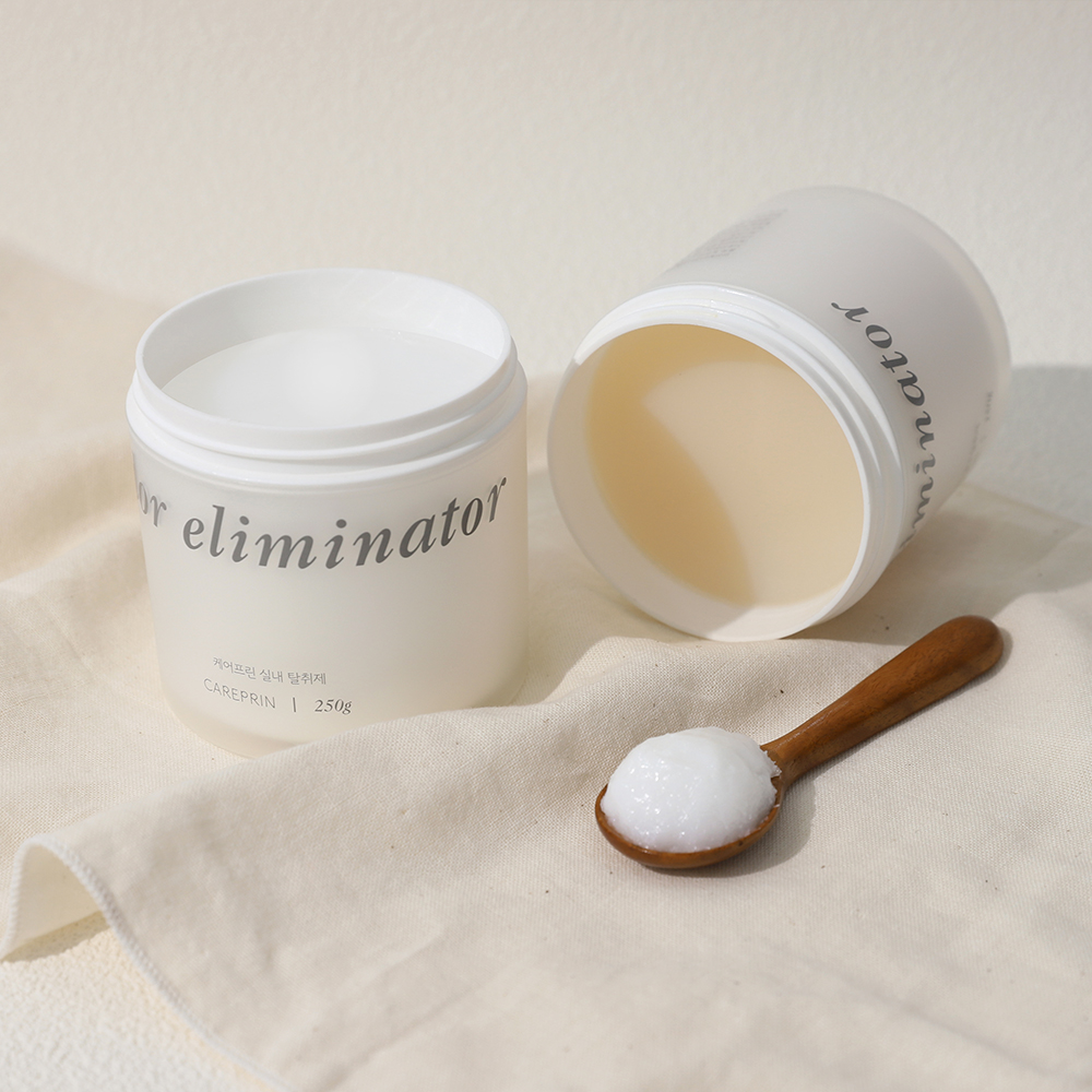 케어프린 탈취제 고체 실내 옷장 화장실 신발장 차량 담배 홀애비 냄새 악취 제거 250g