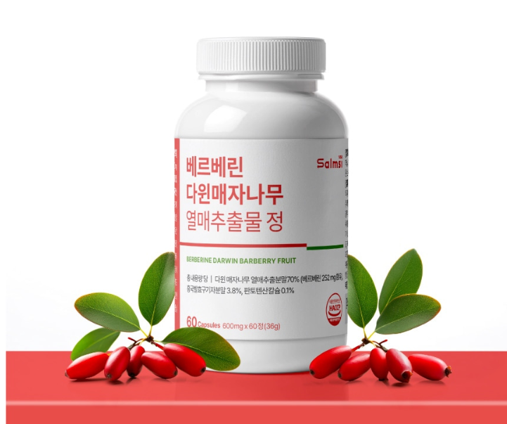 매자나무열매가루 분말 베르베린 알파 베르베리 내돈내산 60정 - 상세 이미지 2