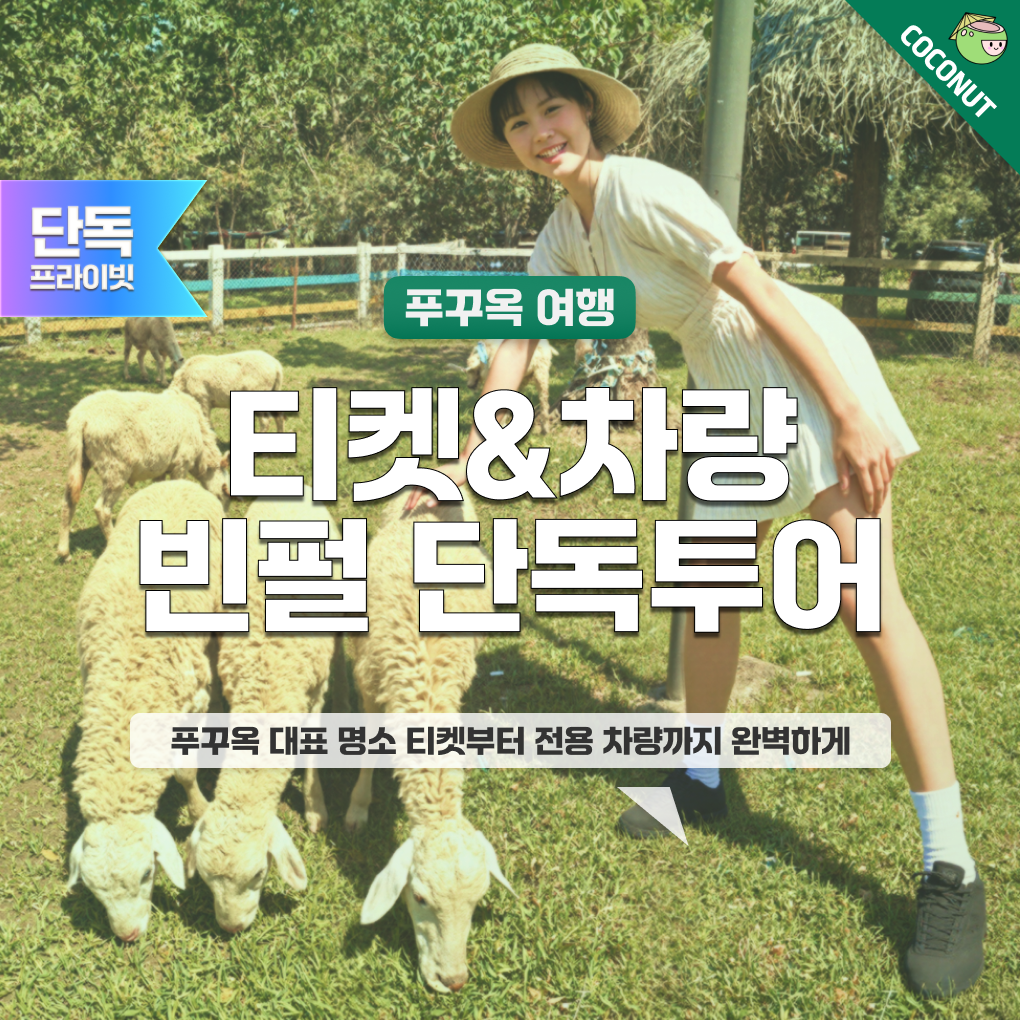 [QR+차량]푸꾸옥 북부 빈펄 올인원 렌트카 투어 사파리 빈원더스 그랜드월드 단독투어