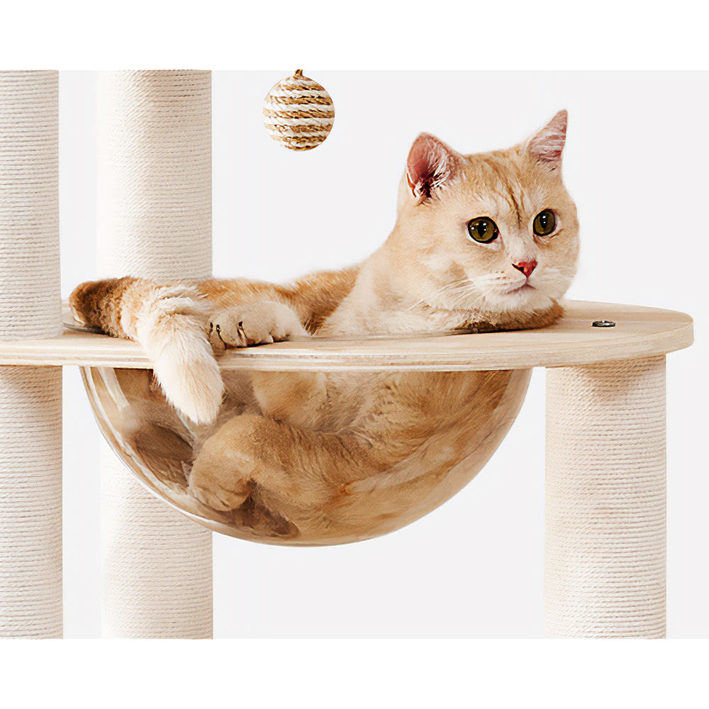 낮은 캣타워 고양이 소형 선반 가구 미니 나무 캣폴