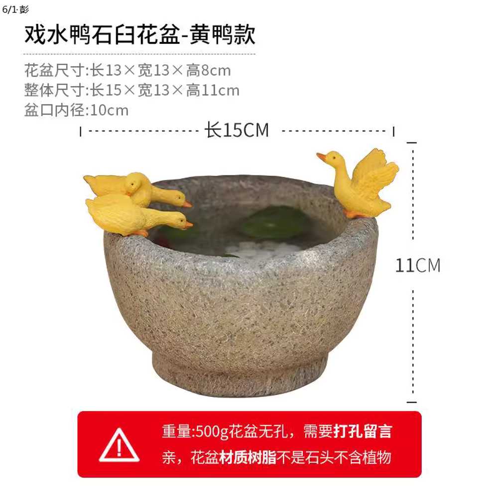 돌수반 화분 미니연못 돌학 이끼 금붕어 트레이 야외 - 상세 이미지 4