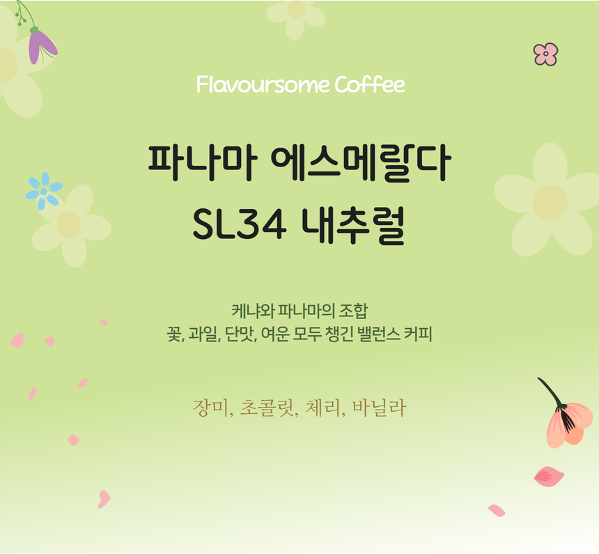 파나마 에스메랄다 SL34 내추럴 - 메인 이미지