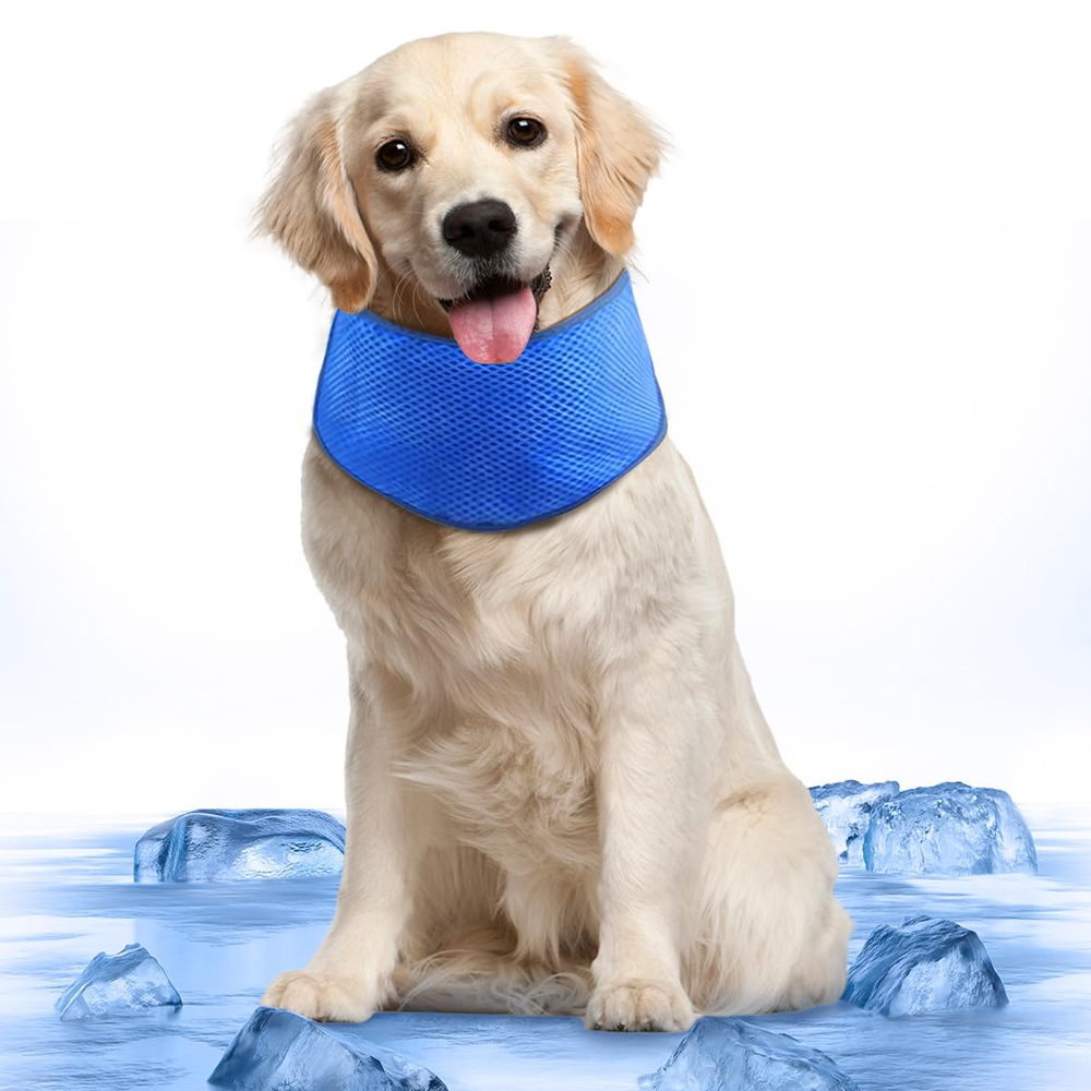 개과천선 프레시디 애견 강아지 쿨 스카프 목도리 턱받이 고양이 케이프 악세사리