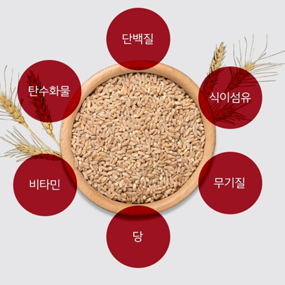 EnB 이탈리아 프리미엄 파로 효소 30포 6박스 6개월 분말 가루 스틱 고역가수치 효능 이미지 6