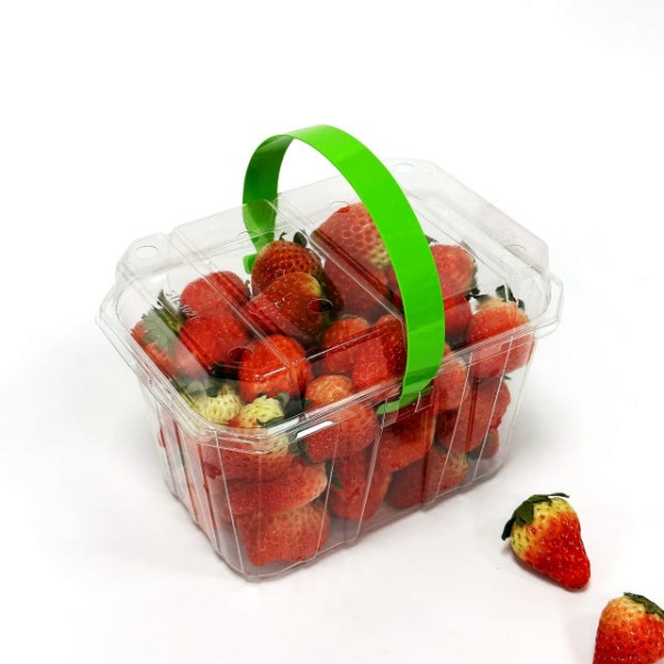 신선과일 사각 0.5kg 투명 손잡이 과일포장 상자 100개 포장박스 50세트-초록색 - 상품 이미지