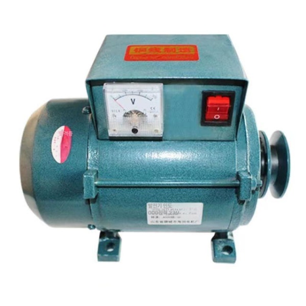 휴대용 3500W 고출력 캠핑 가정용 디젤 발전기 소형 영구 교류 조명 1000W - 상품 이미지