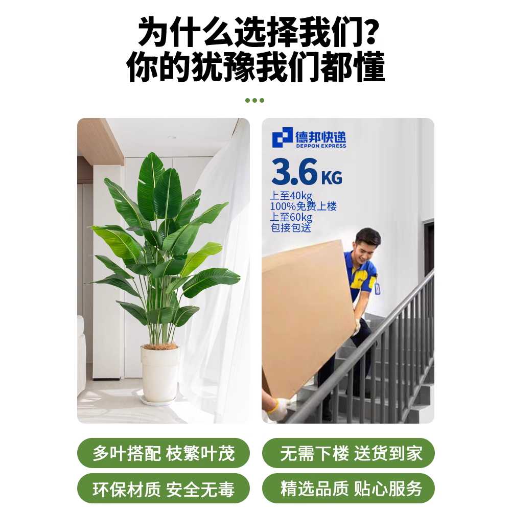 홍콩야자수 조화 나무 호텔 거실 음지 개업 가짜 장식 - 상세 이미지 3