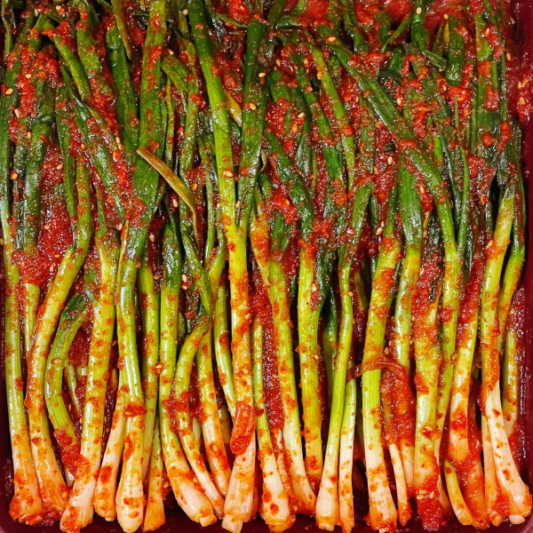 전라도 여수 파김치 1kg 국내산