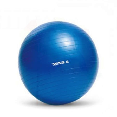 짐볼 운동기구 필라테스 균형감각 척추 자세교정 홈트