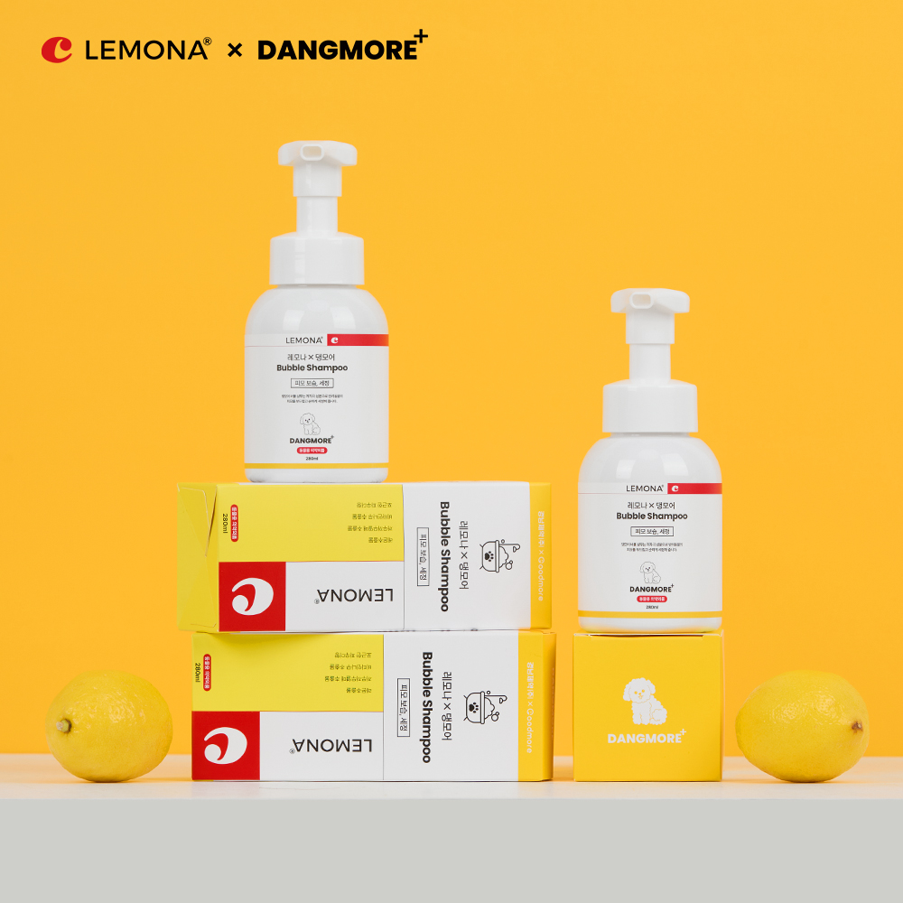 레모나 댕모어 강아지 워터리스 샴푸 산책 후 거품 발비누 280ml, 2개 - 상세 이미지 5