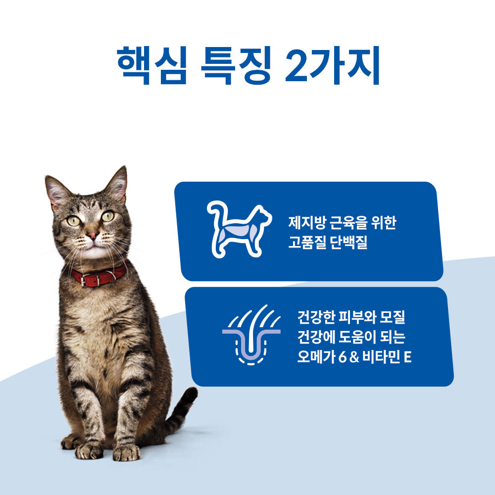 사료 입자 비교 사진