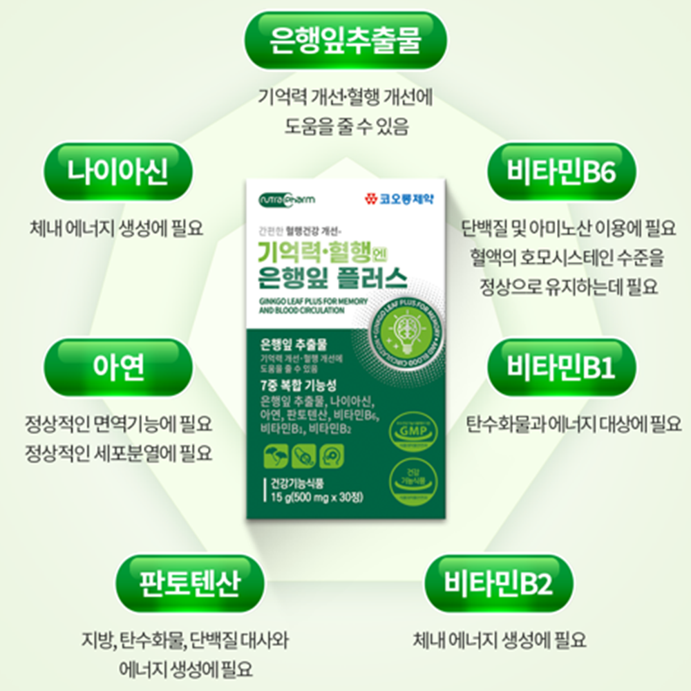 코오롱제약 기억력 혈행 징코 은행잎 추출물 30정 3박스 3개월 나이아신 판토텐산 비타민B - 상세 이미지 3