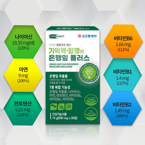 코오롱제약 기억력 혈행 징코 은행잎 추출물 30정 6박스 6개월 나이아신 판토텐산 비타민B - 상세 이미지 5