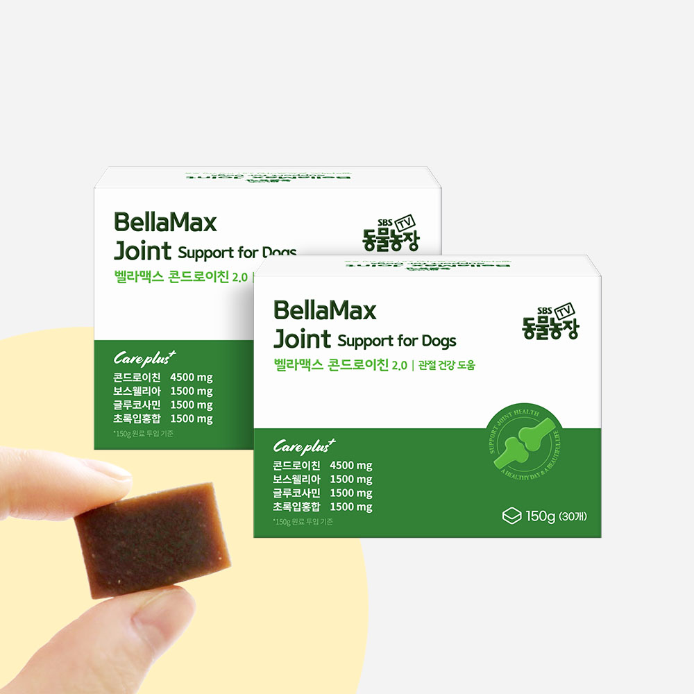 벨라맥스 SBS TV 동물농장 수의사 강아지 관절 영양제 콘드로이친 슬개골 2개