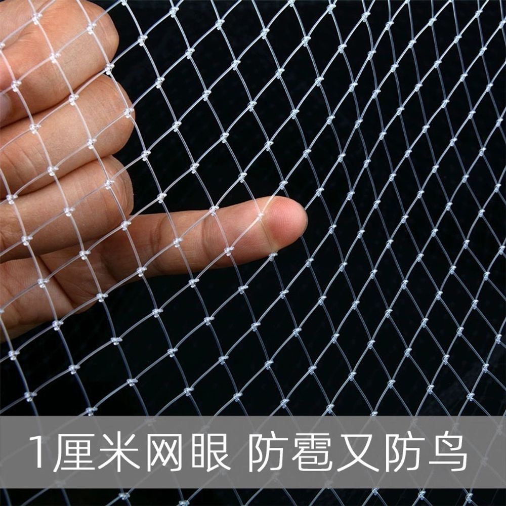 농작물 보호망 블루베리 일반 농작물보호망 그 A. 3 미터 너비 x 5 미터 길이 1cm - 상세 이미지 5