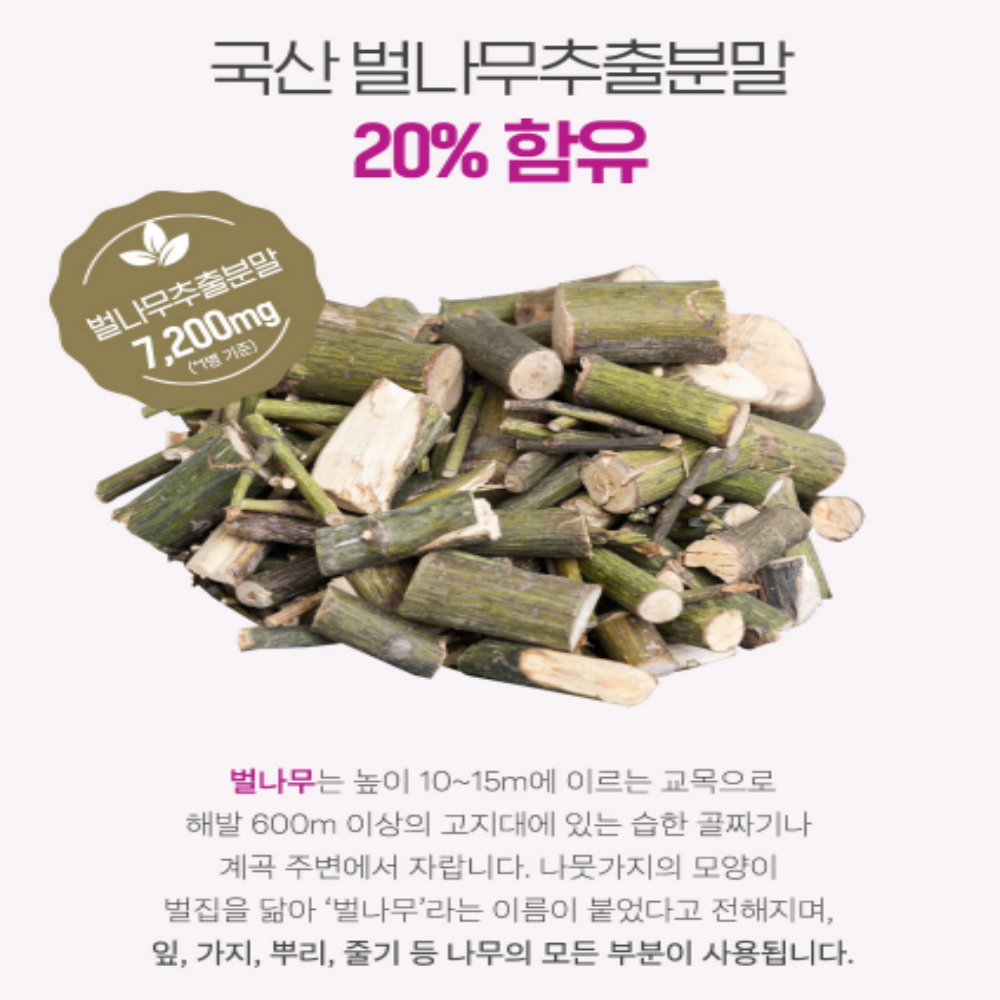 알부민 골드플러스 벌나무추출분말 60정 - 상세 이미지 4