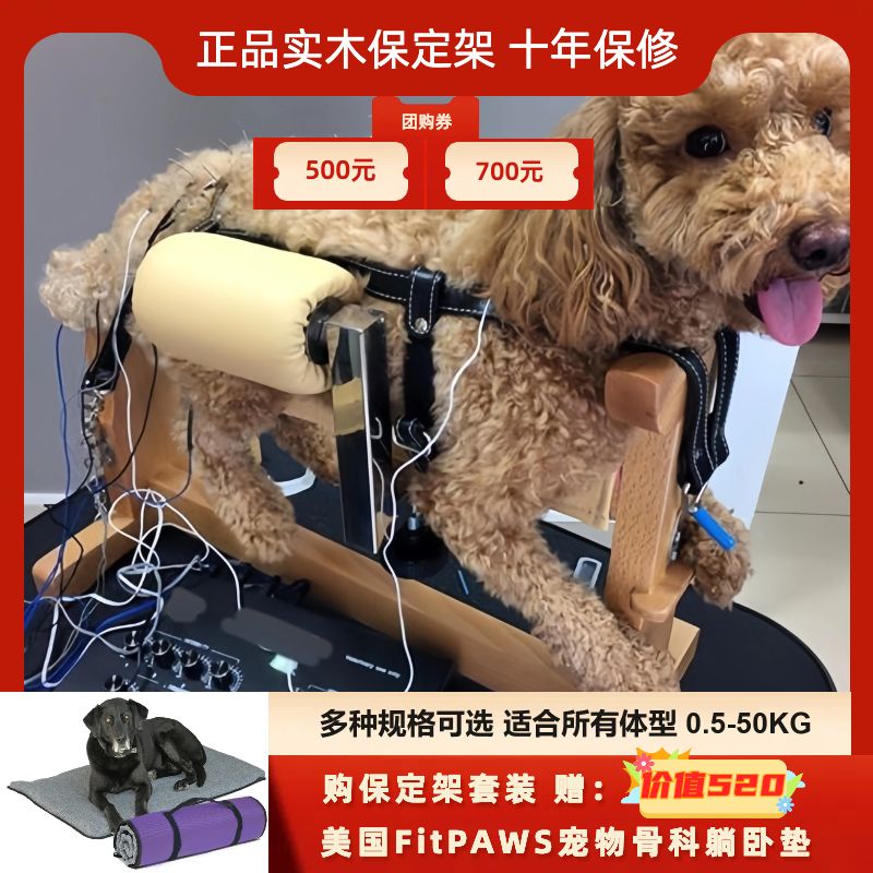 강아지 고정 받침대 미용 리프트 테이블 애견 셀프 보딩 프레임 세트 S 소형 1-10kg - 상세 이미지 2