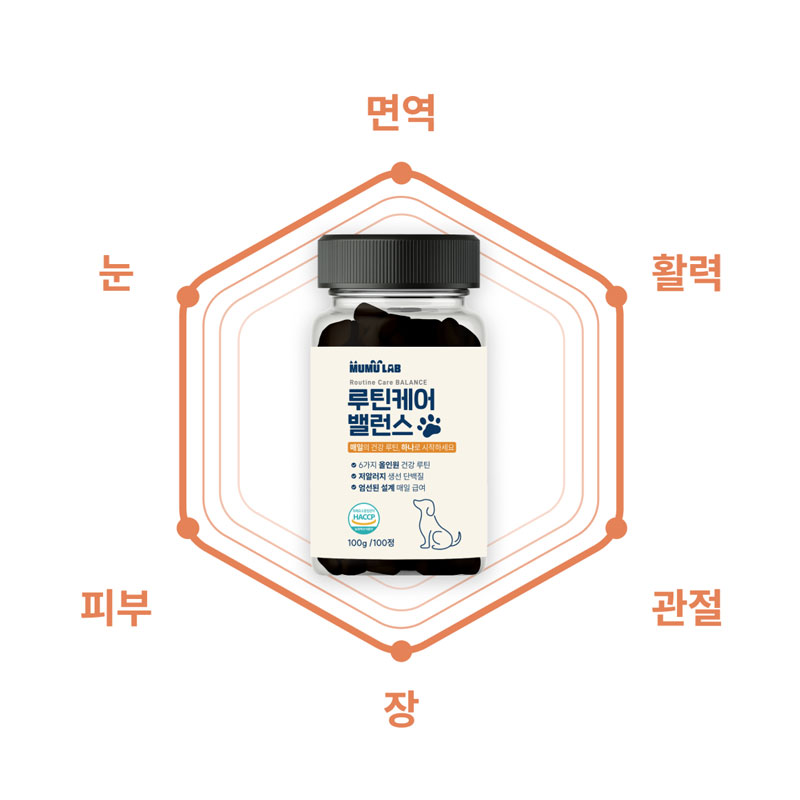 강아지 영양제 눈 기관지 관절 오메가3 눈물자국 피부 심장 종합